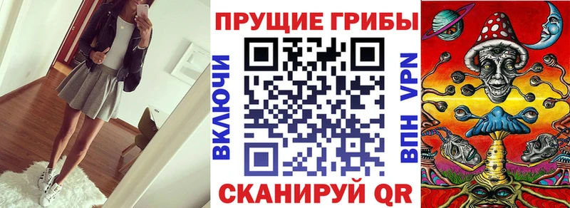 Псилоцибиновые грибы GOLDEN TEACHER  Купить где  Гусиноозёрск 